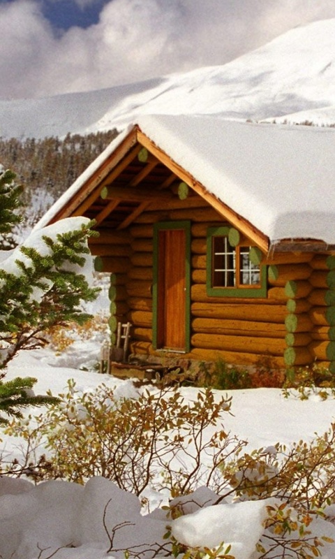 Cozy winter house wallpaper 480x800
