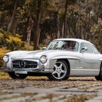 Mercedes Benz 300 SL wallpaper 208x208