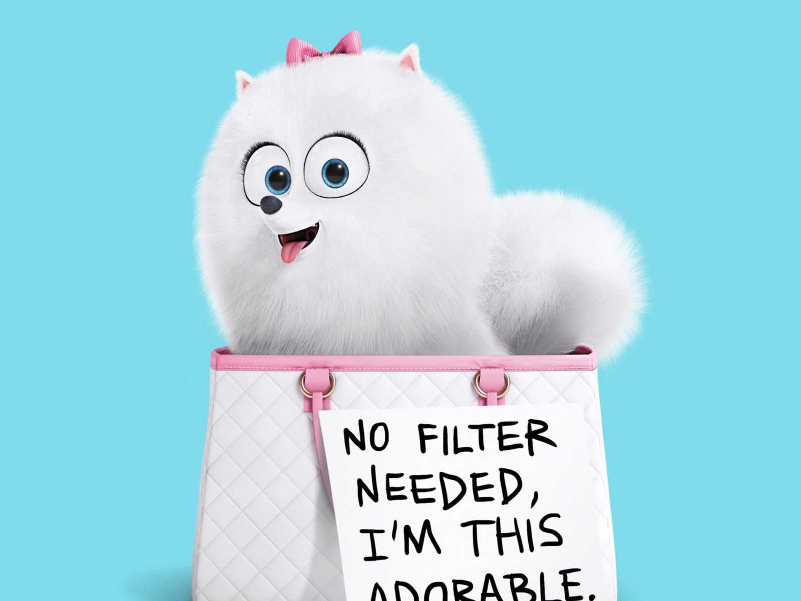 Gidget Secret Life of Pets wallpaper 1600x1200