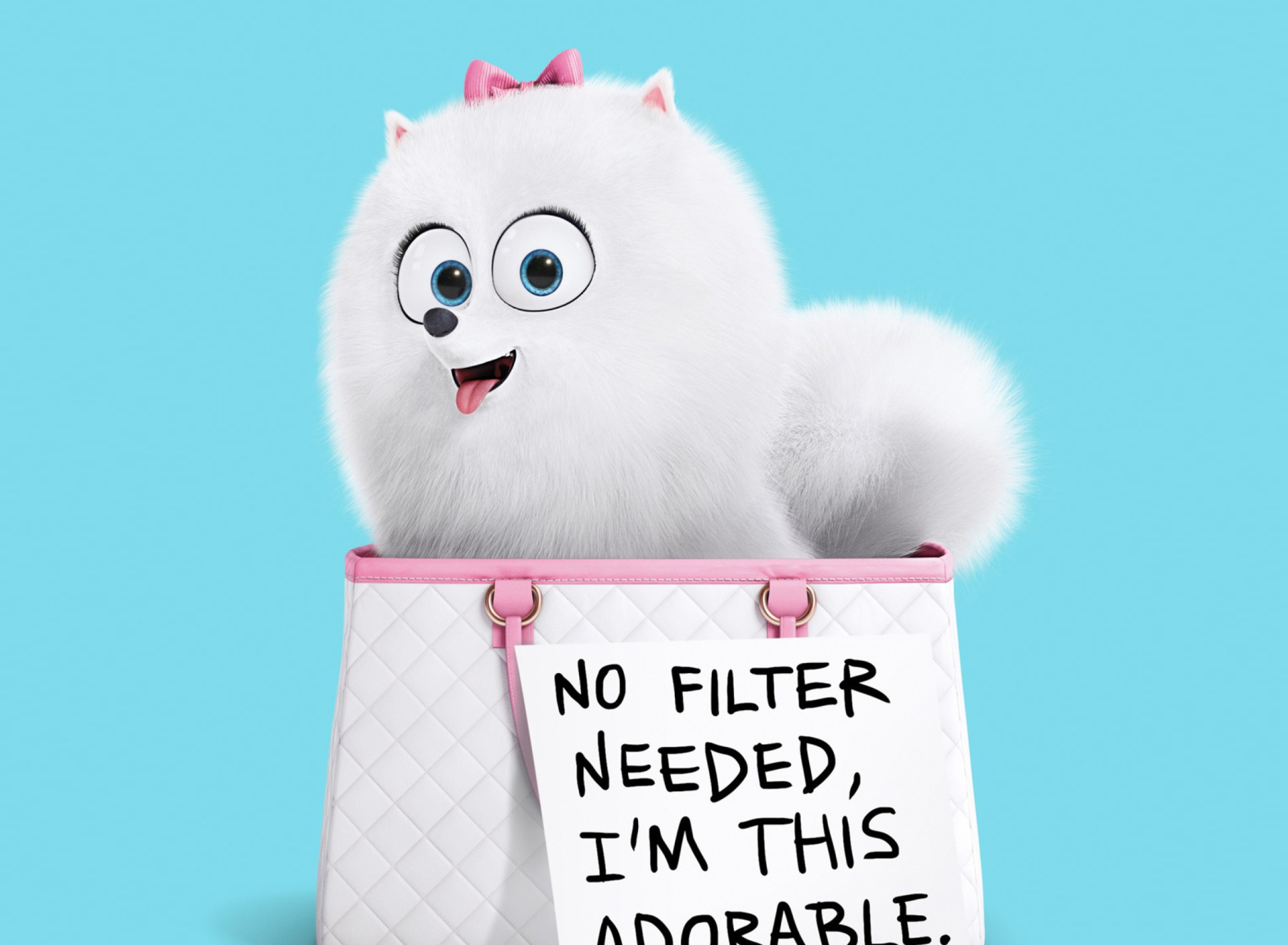 Das Gidget Secret Life of Pets Wallpaper 1920x1408