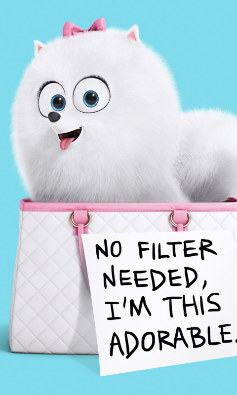 Das Gidget Secret Life of Pets Wallpaper 480x800