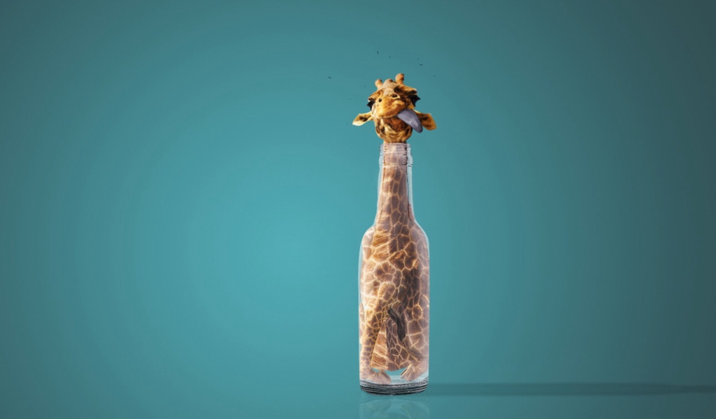 Giraffe In Bottle wallpaper 1024x600