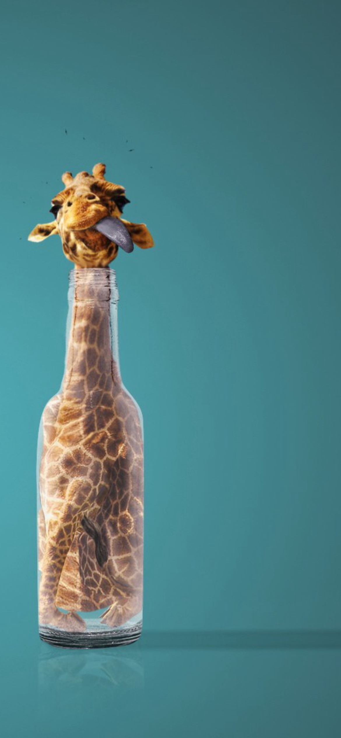 Giraffe In Bottle wallpaper 1170x2532