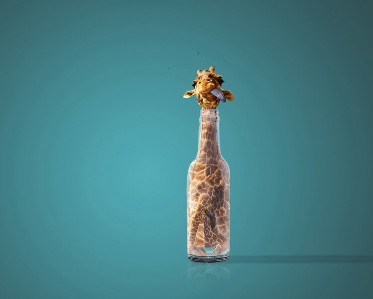 Das Giraffe In Bottle Wallpaper 1280x1024
