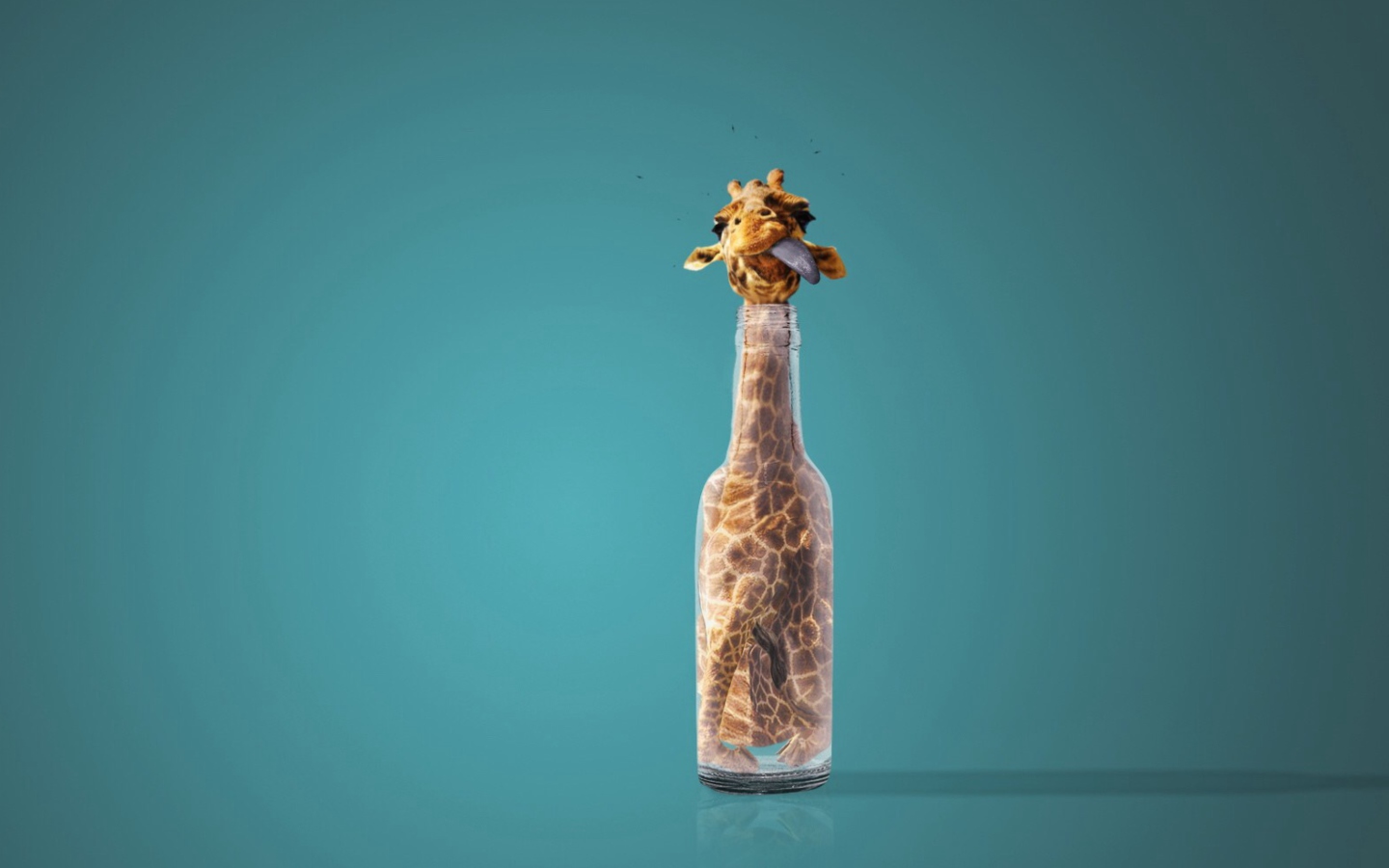 Giraffe In Bottle wallpaper 1440x900