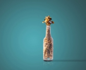Fondo de pantalla Giraffe In Bottle 176x144