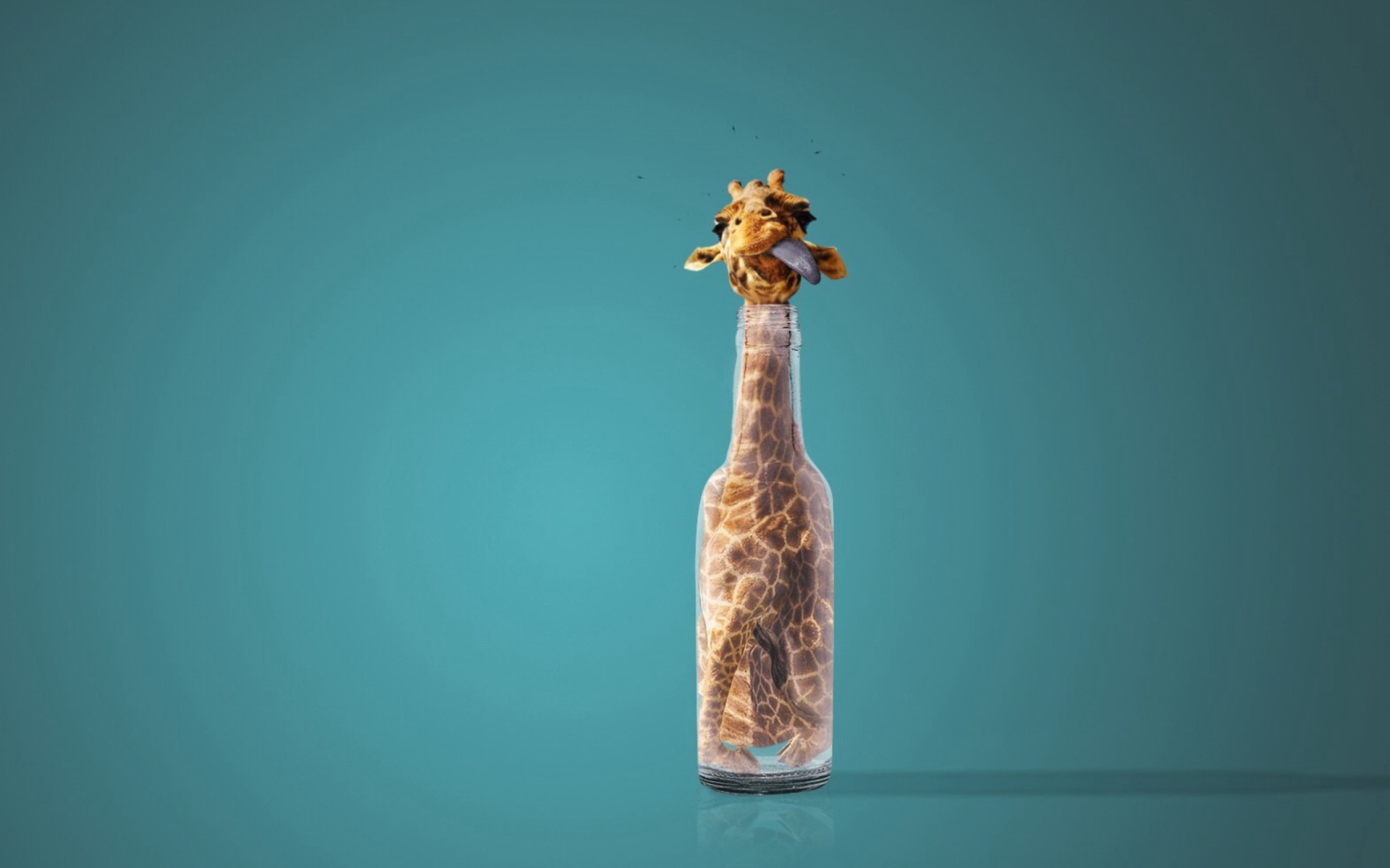 Fondo de pantalla Giraffe In Bottle 1920x1200