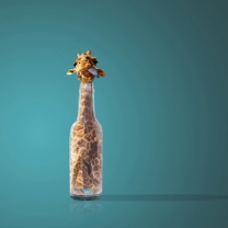Das Giraffe In Bottle Wallpaper 208x208