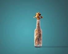 Fondo de pantalla Giraffe In Bottle 220x176