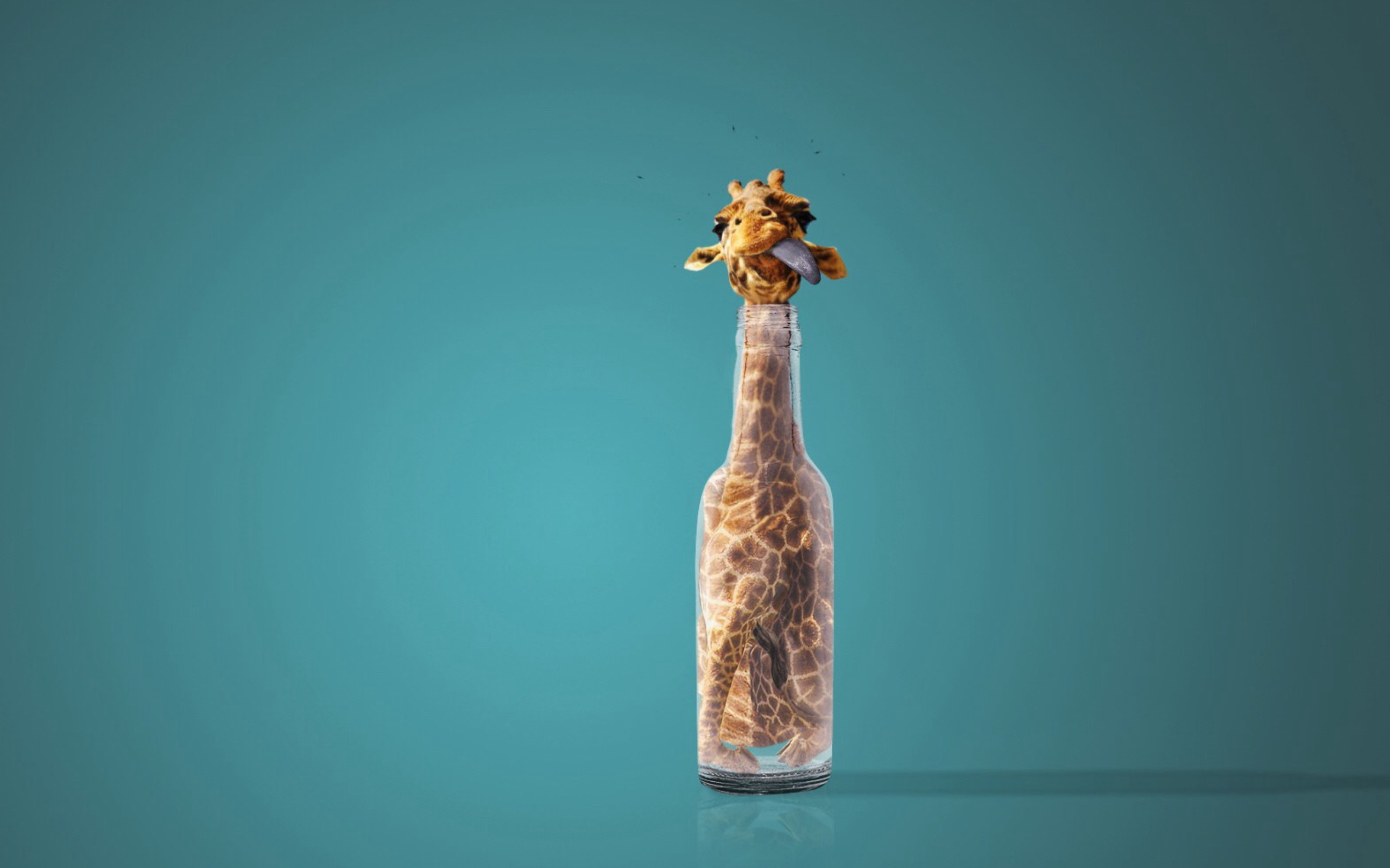 Giraffe In Bottle wallpaper 2560x1600