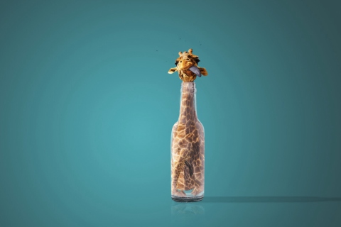 Fondo de pantalla Giraffe In Bottle 480x320