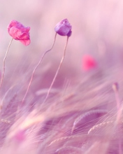 Pink & Purple Flower Field screenshot #1 176x220