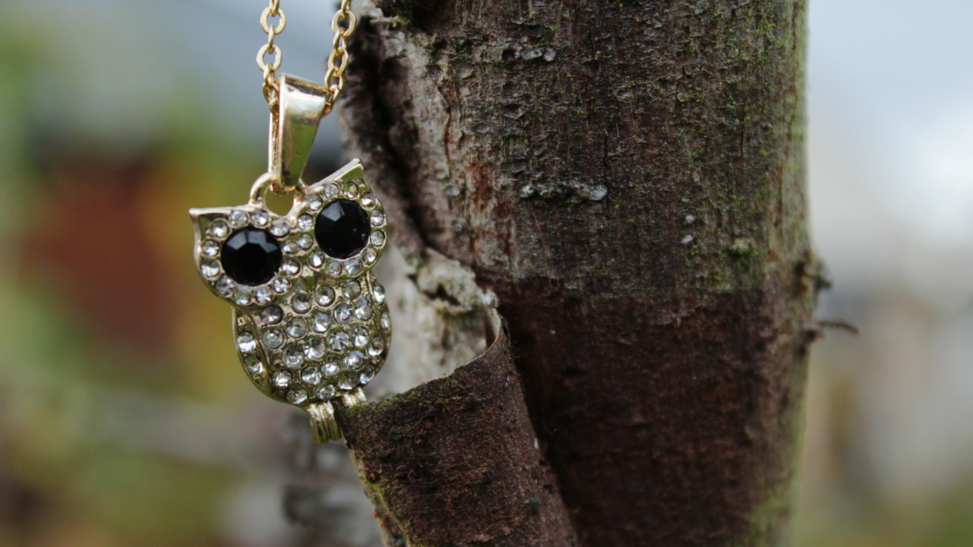 Sfondi Diamond Owl Pendant 1366x768