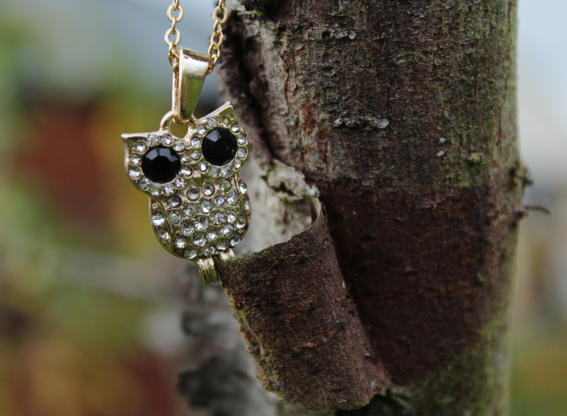Обои Diamond Owl Pendant 1920x1408