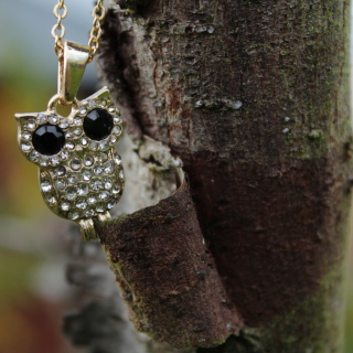 Diamond Owl Pendant - Obrázkek zdarma pro Nokia 6230i