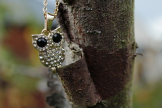 Diamond Owl Pendant Picture for Android, iPhone and iPad