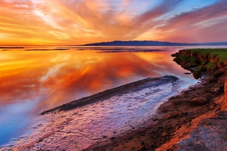Colorful Horizon Wallpaper for Android, iPhone and iPad