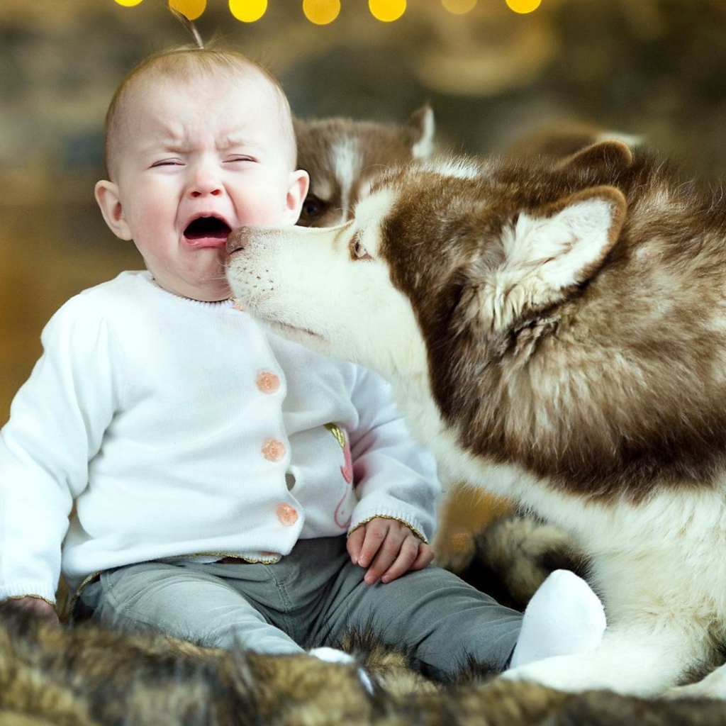 Baby and Dog wallpaper 1024x1024