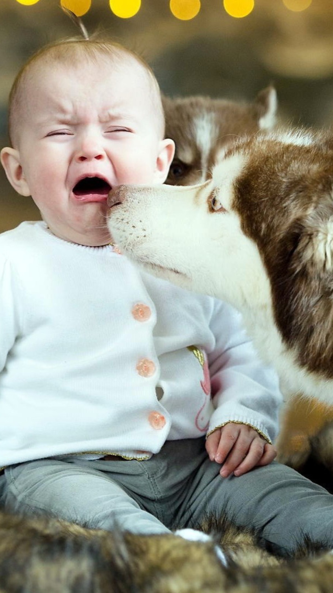 Das Baby and Dog Wallpaper 1080x1920