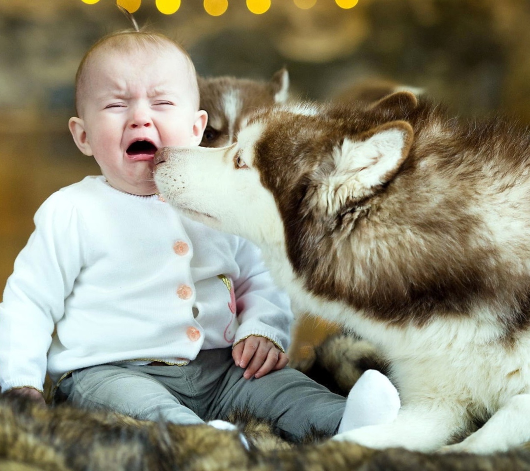 Baby and Dog wallpaper 1080x960
