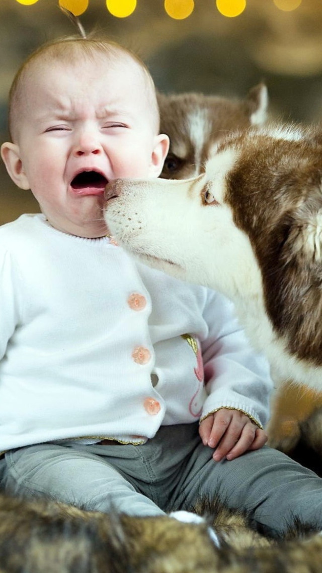 Baby and Dog wallpaper 640x1136
