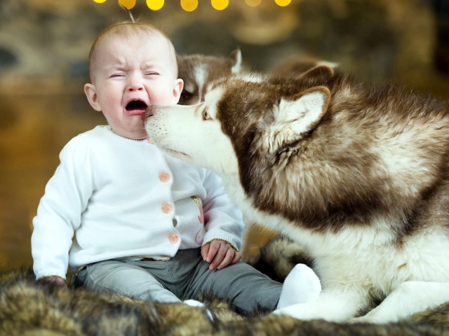 Das Baby and Dog Wallpaper 640x480