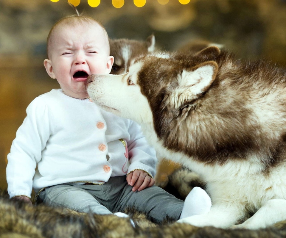 Baby and Dog wallpaper 960x800