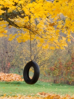 Das Tire Swing Wallpaper 240x320