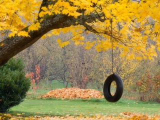 Tire Swing wallpaper 320x240