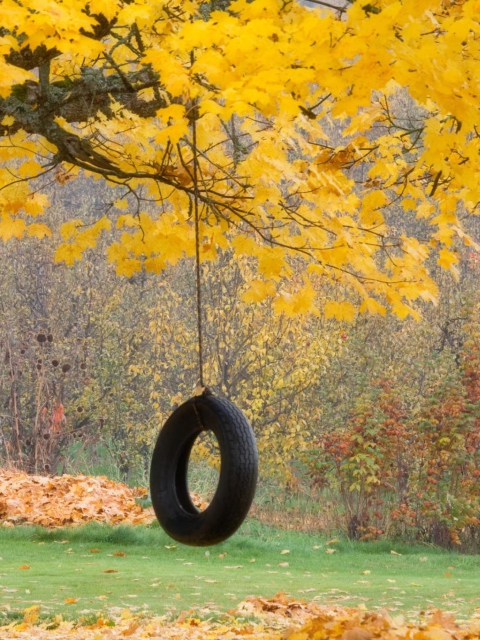 Das Tire Swing Wallpaper 480x640