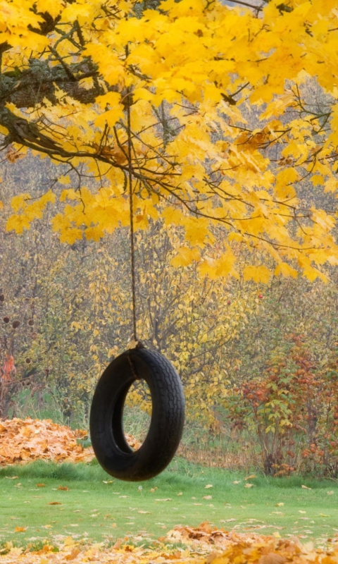 Das Tire Swing Wallpaper 480x800