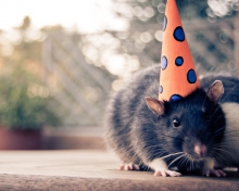 Party Mouse wallpaper 220x176