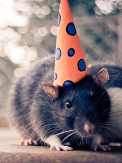 Das Party Mouse Wallpaper 240x320