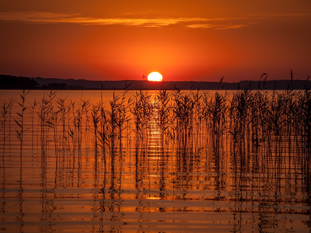 Summer Red Sunset screenshot #1 1024x768