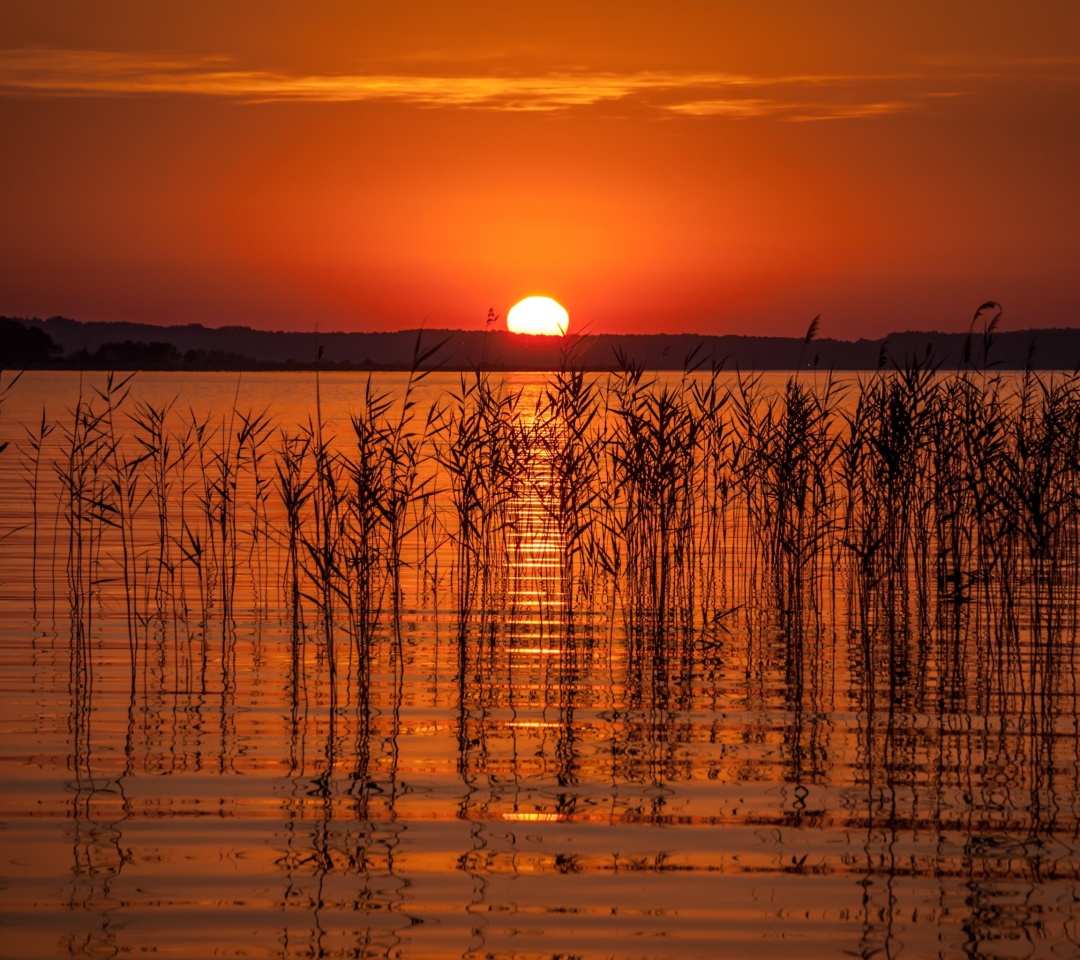 Sfondi Summer Red Sunset 1080x960