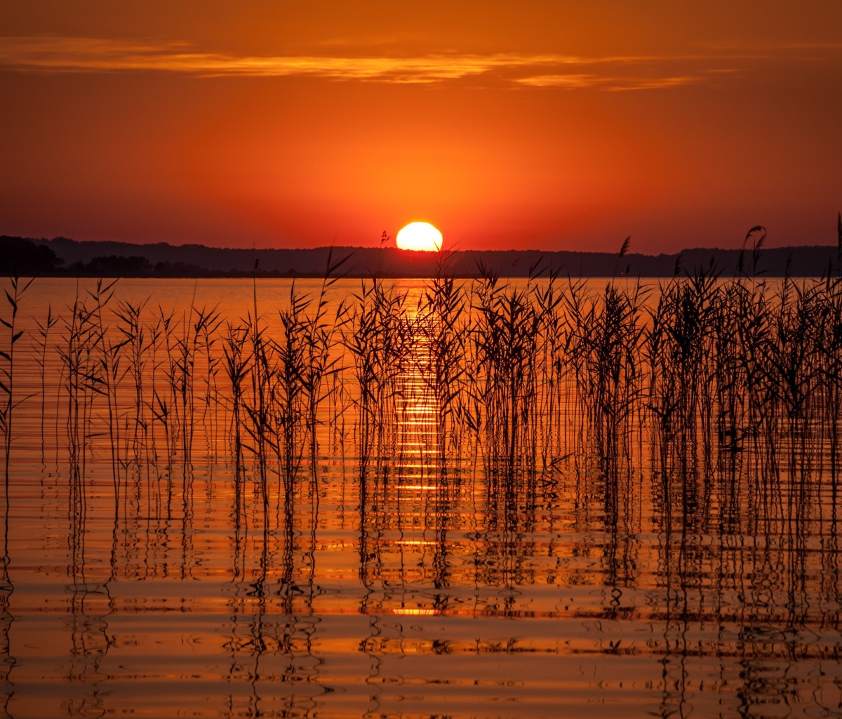 Sfondi Summer Red Sunset 1200x1024