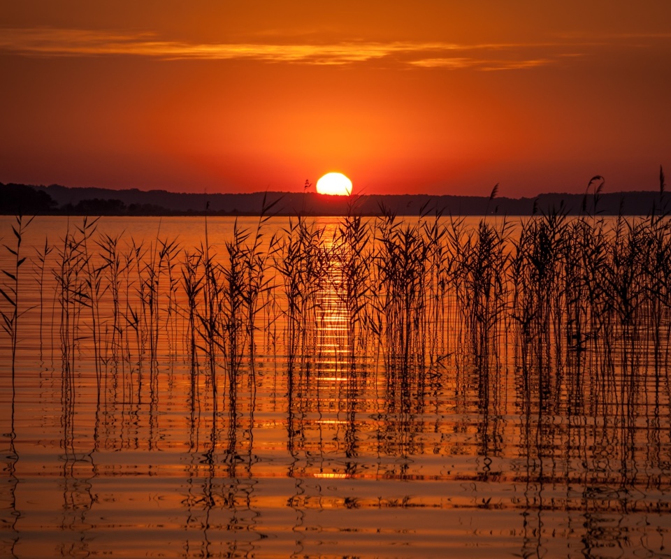 Fondo de pantalla Summer Red Sunset 960x800