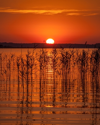 Summer Red Sunset - Obrázkek zdarma pro Nokia C1-01