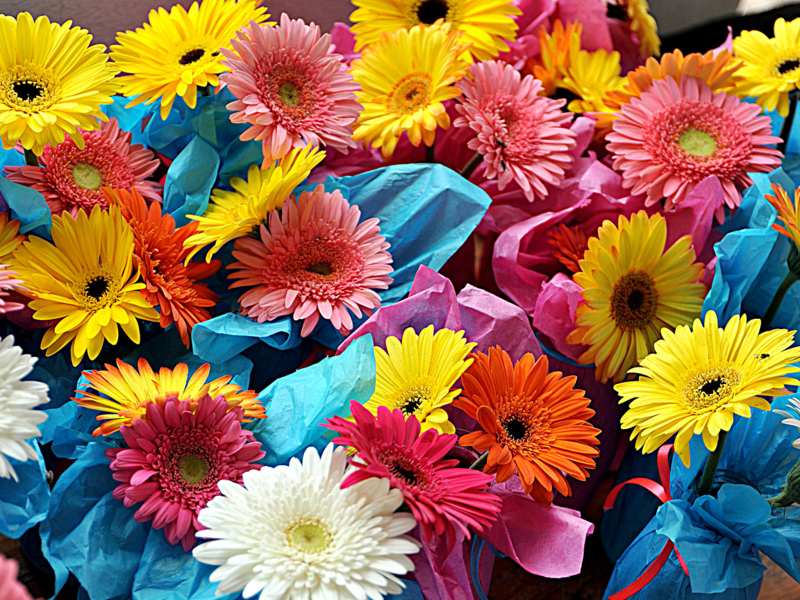 Обои Bouquet of Gerberas 1152x864