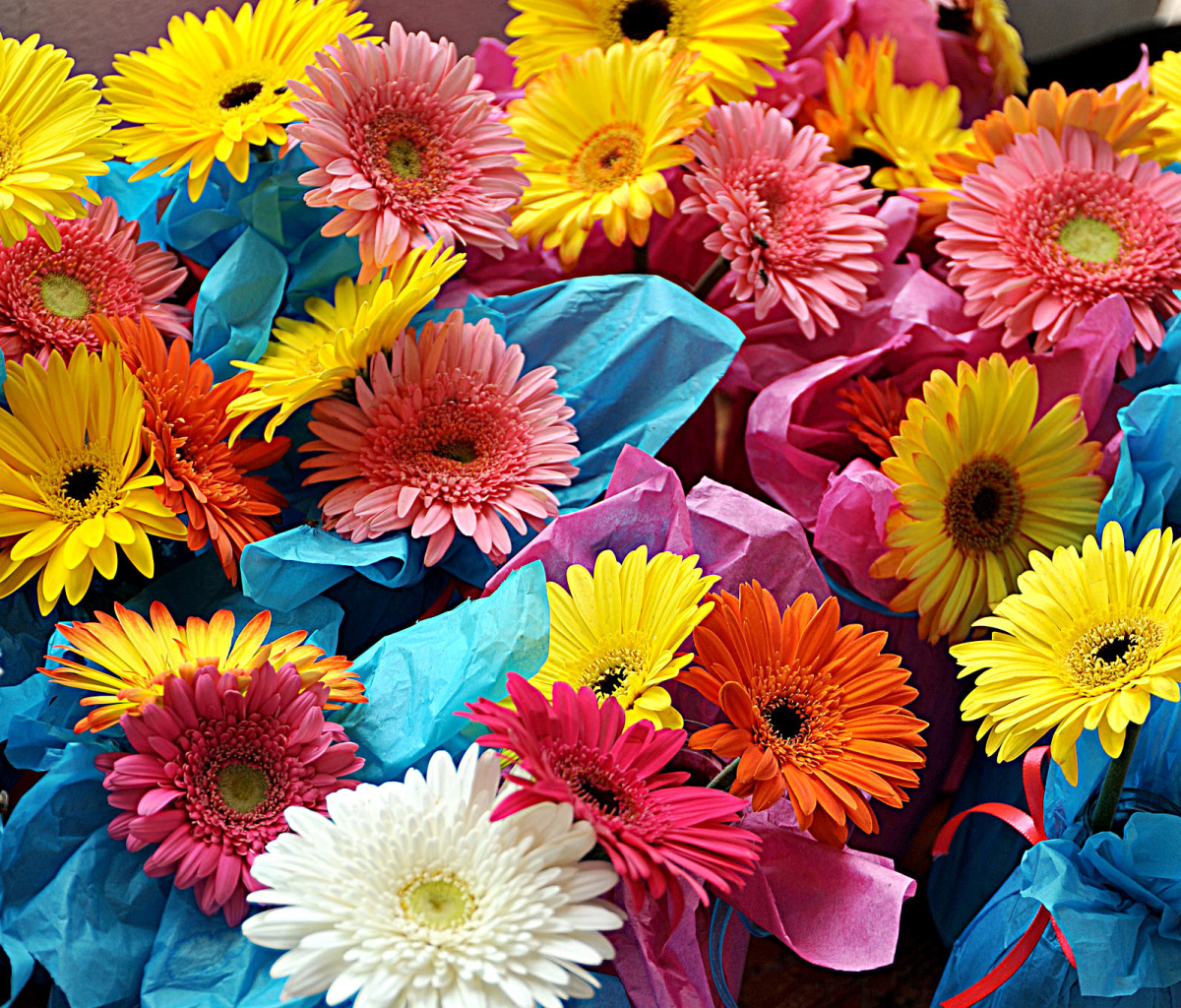 Das Bouquet of Gerberas Wallpaper 1200x1024