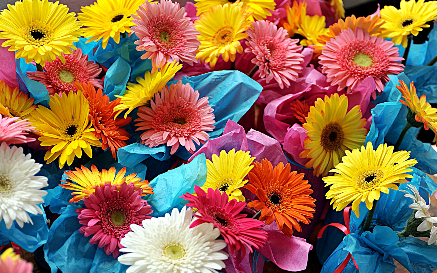 Обои Bouquet of Gerberas 1440x900