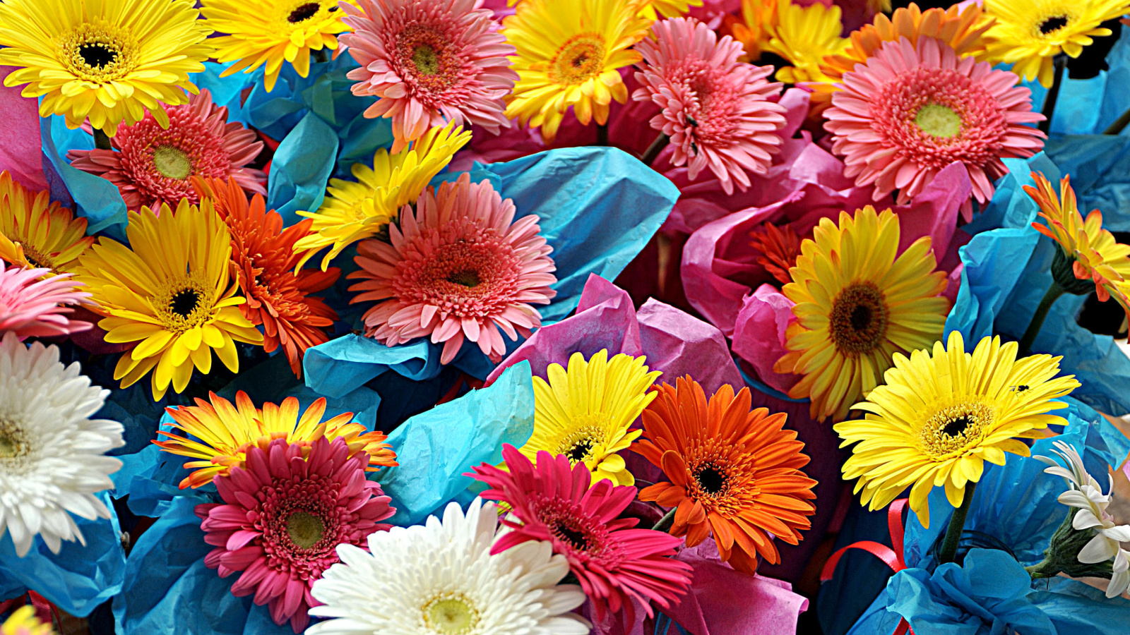 Обои Bouquet of Gerberas 1600x900