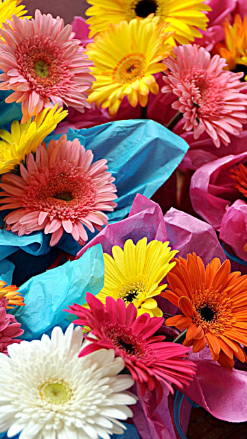 Обои Bouquet of Gerberas 360x640