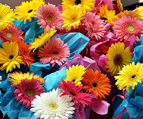 Обои Bouquet of Gerberas 480x400