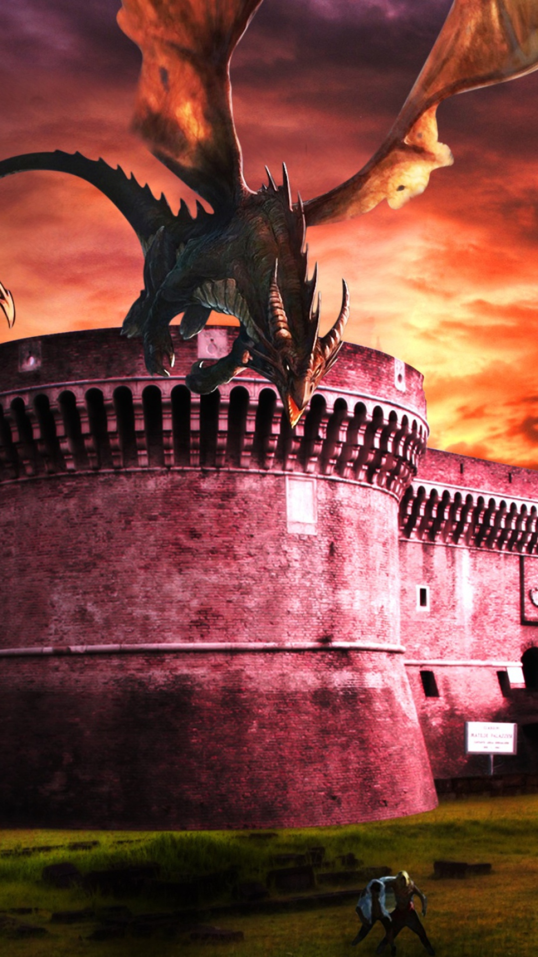 Das Dragon Fury Wallpaper 1080x1920
