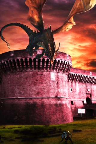 Screenshot №1 pro téma Dragon Fury 320x480