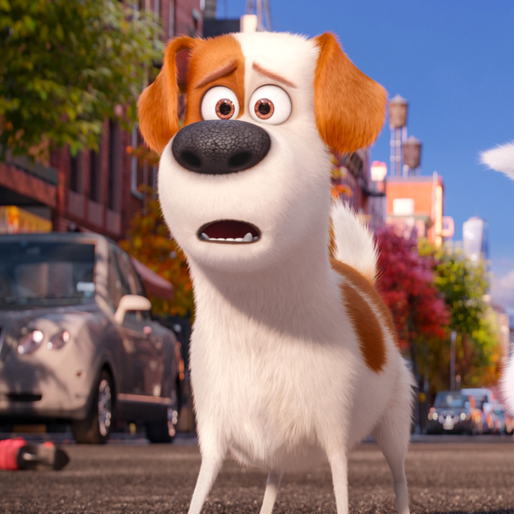 Обои The Secret Life of Pets, Max and Snowball 1024x1024