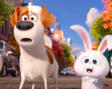 The Secret Life of Pets, Max and Snowball wallpaper 220x176