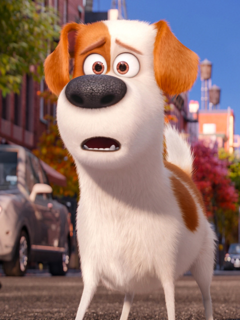 Обои The Secret Life of Pets, Max and Snowball 480x640