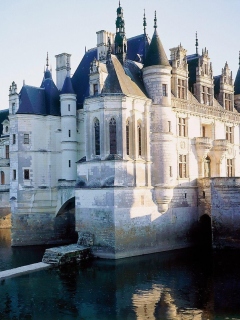 Das Château de Chenonceau Wallpaper 240x320